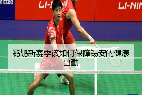 鹈鹕新赛季该如何保障锡安的健康出勤