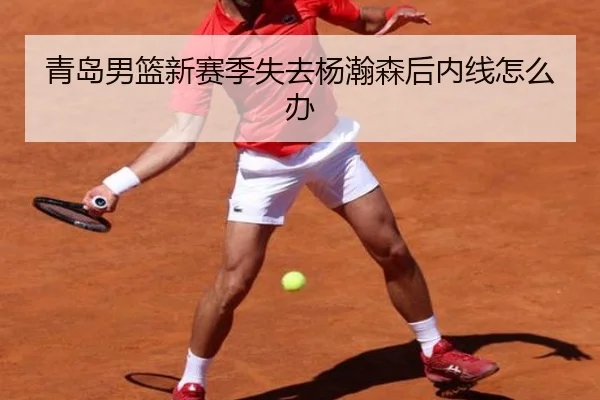 青岛男篮新赛季失去杨瀚森后内线怎么办