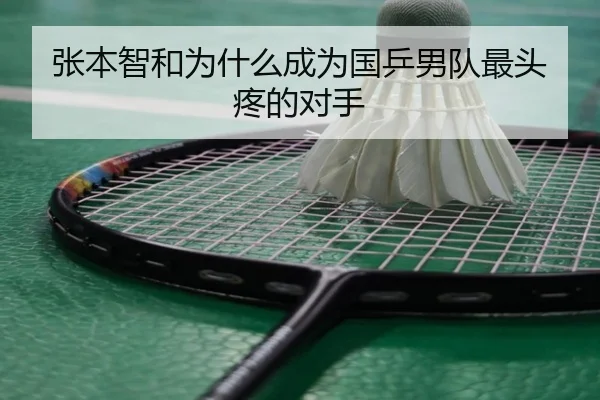 张本智和为什么成为国乒男队最头疼的对手
